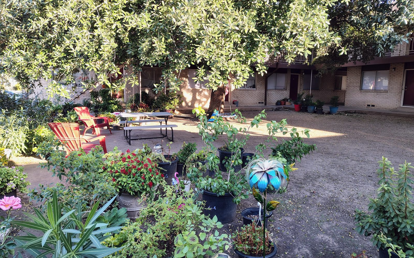 Jardín del patio con flores, sillas rojas y mesas de picnic bajo árboles de sombra